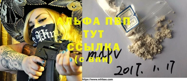 гидра Абаза